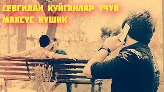 МИЛЛИОНЛАБ КАЛБЛАРНИ ЙИГЛАТГАН ДАРДЛИ КУШИК