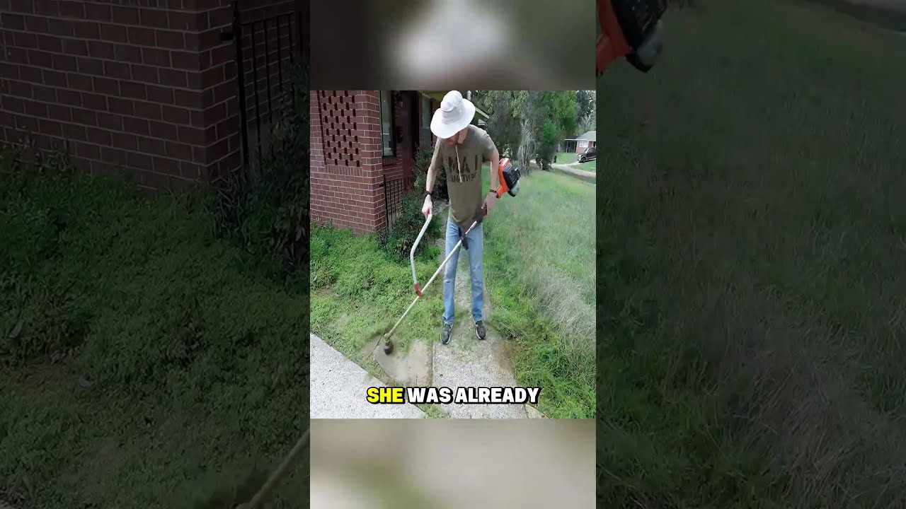 Deployed Soldier S Overgrown Yard Gets Epic Transformation Free Lawn Care