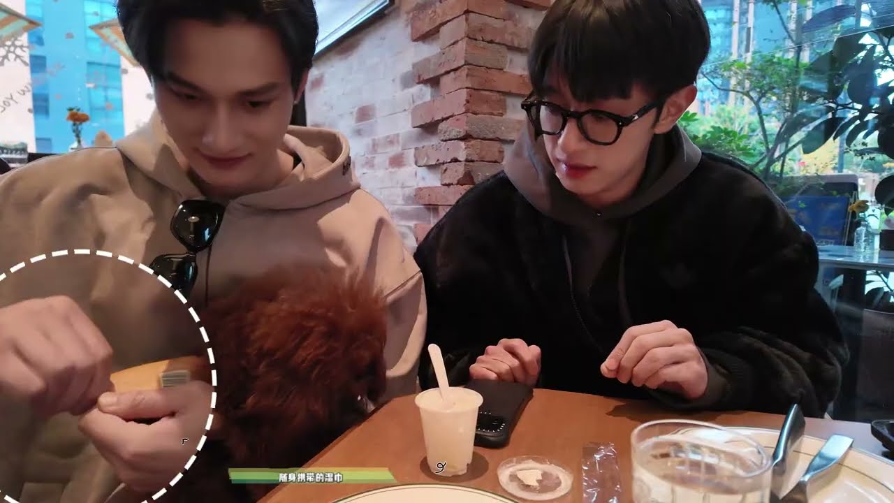 奖励&乐乐的休息日 vlog|乐乐少爷出街的一天🐶🐶