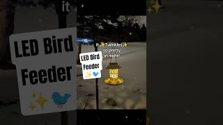 ✨LED Bird Feeder - My Amazon Favorites; Affiliate Link in Bio 🎀