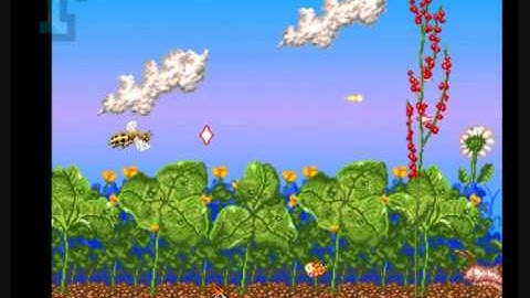 1GO Short Play - Apidya (Amiga)