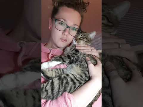 My cute dancing cat and I have an announcement to make: I'm back 2019!