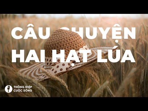 Video Hai Hạt Lúa | Câu chuyện bên mâm cơm - youtube