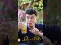 nc cốt mơ 2