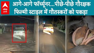 Gurugram News:  गुरुग्राम में 50 की फॉर्च्यूनर कार से गौ तस्करी, 4 पशु बरामद | ABP LIVE screenshot 4