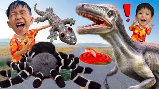ตุ๊กแก งูจงอาง แมงมุมยักษ์ ไดโนเสาร์ คนป่านอนข้างถนน พิพิธภัณฑ์วิทยาศาสตร์ | พี่โฟล์คและน้องแฝด