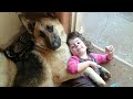 When your dog becomes a special friend  cute dog and little human
