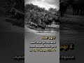 درس من الغابة حتى الأسد ينسحب عندما تتوحد الصفوف 