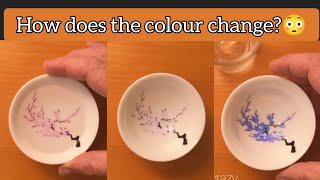 colour changing blossom | easy science experiment | thermal indicator | colourful science experiment