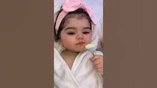 The Coppycake song👶