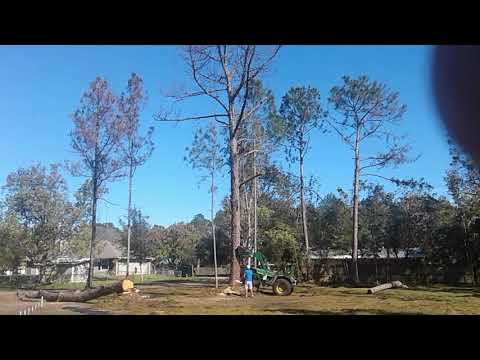 Using a tractor to guide tree fell
