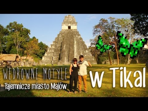 Wideo: Ruiny Majów w Ameryce Środkowej, od Copan do Tikal