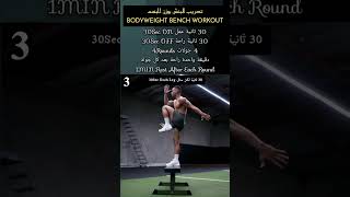 تدريب البنش بوزن الجسم Bodyweight Bench Workout shortsvideo workout benchworkout