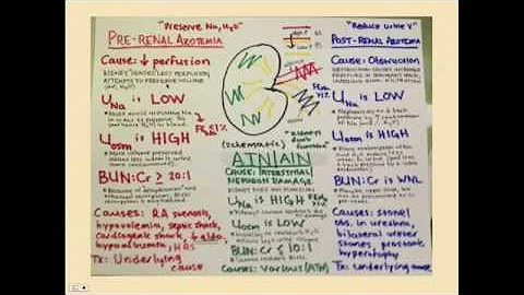 Introduction to Renal Failure - CRASH! Medical Review Series