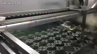 Famous XY Cartesian Gantry Robot Belt Driven Actuator With Cable Track For Spaying Printing Wealth