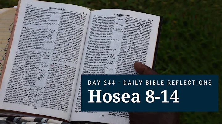 DAY 244 | Hosea 8-14 | The Bible in A Year