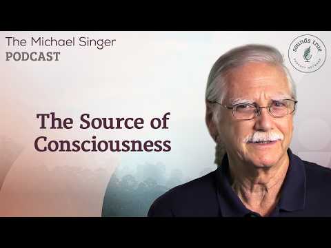 The Source of Consciousness | The Michael Singer Podcast