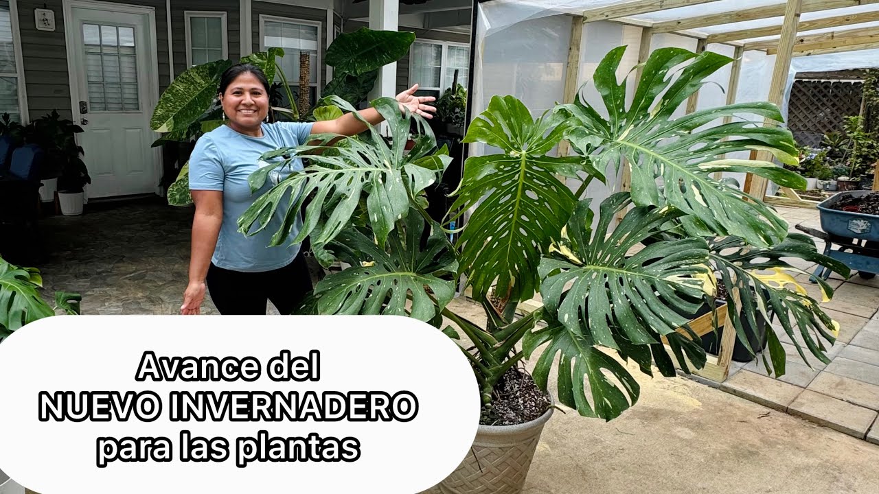 Avance del NUEVO INVERNADERO para las plantas y como va el jardín