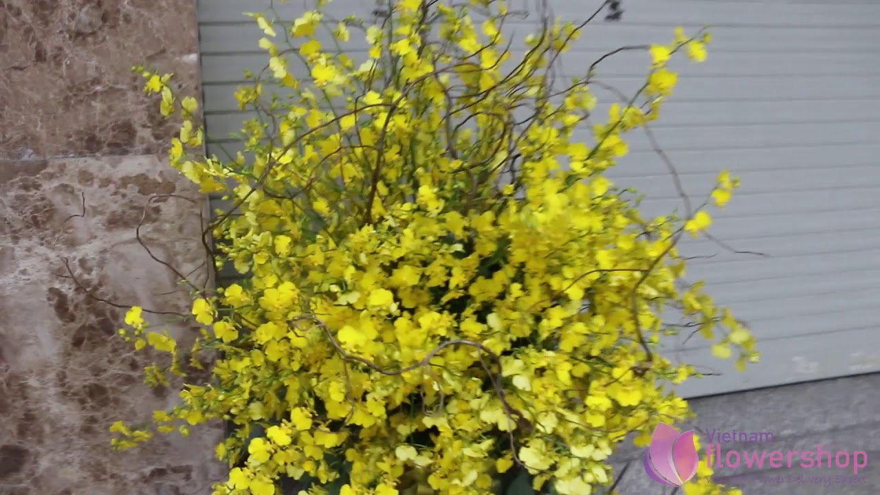 Vietnam flower shop online YouTube