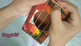 Sains Projek Alat Muzik Kitar Semula DIY
