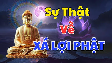 BÍ Ẩn Chưa Có Lời Giải Của Phật Giáo, Xá Lợi Phật Và Nhục Thân Bất Hoại | Nhất Tâm Học Phật