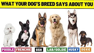 What Does Your Dog Breed Say About You? (All Popular Breeds)
