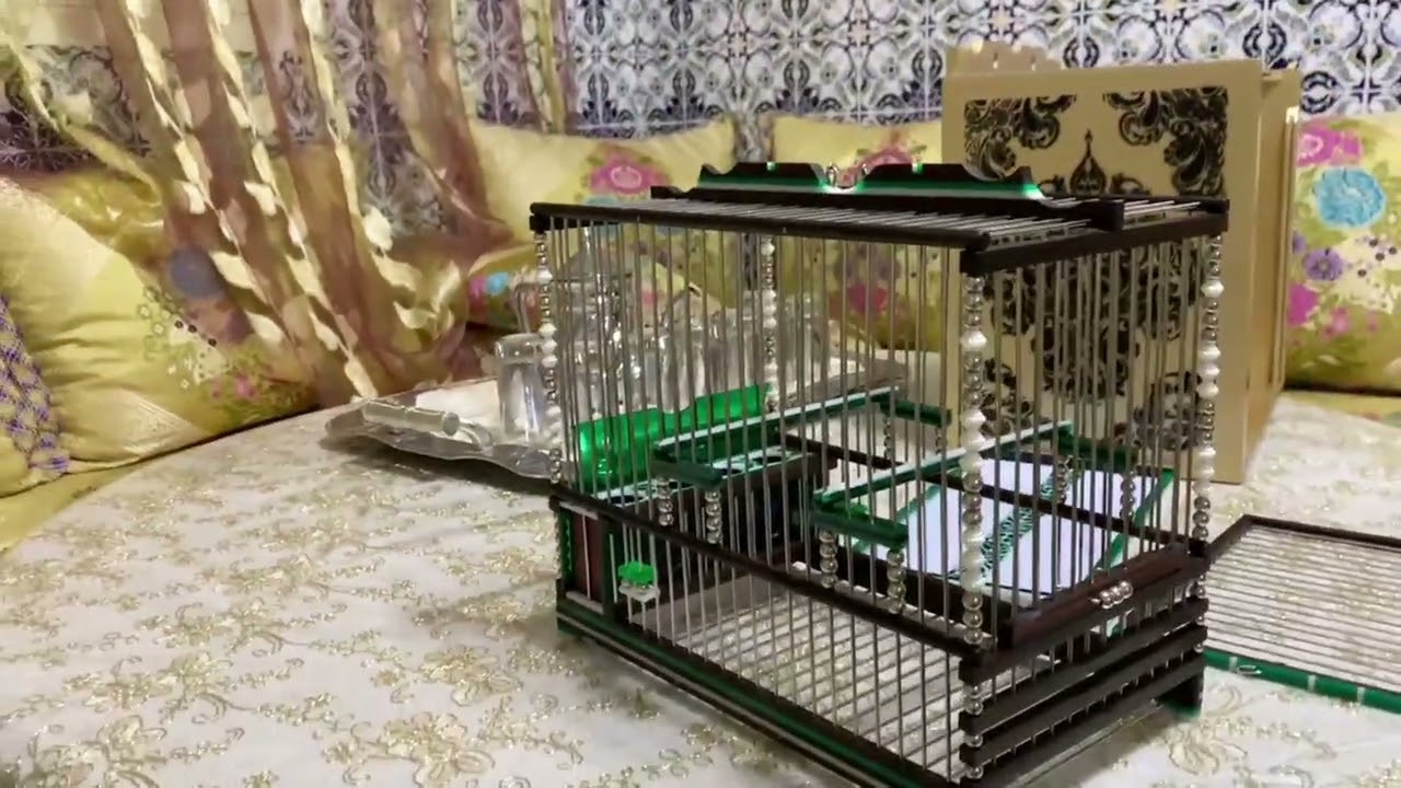 قفص_ملكي _لطائر_الحسون_او_الهجين الحسون_الوداني