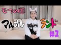 【初投稿】マルオレランド開園！！いきなりスゴイ初仕事が舞い込みました【全愛猫家必見】