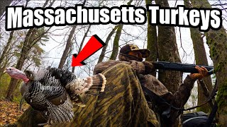 Hunting Massachusetts Turkeys (Opening Week) by Northeast Outdoors 76 views 1 month ago 6 minutes, 35 seconds