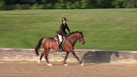 Video of Caprice ridden by Cassandra Kahle from Sh...