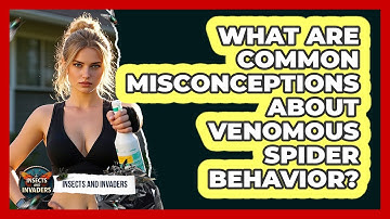 What Are Common Misconceptions About Venomous Spider Behavior? - Insects and Invaders