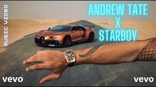 ANDREW TATE  X  THE WEEKND - STARBOY [MUSIC VIDEO] TATE BROTHERS EDIT | THE LION MINDSET