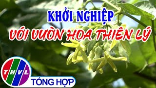 Khởi nghiệp xanh: Khởi nghiệp với vườn hoa thiên lý