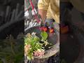 flowers as decoration #pandaibesi