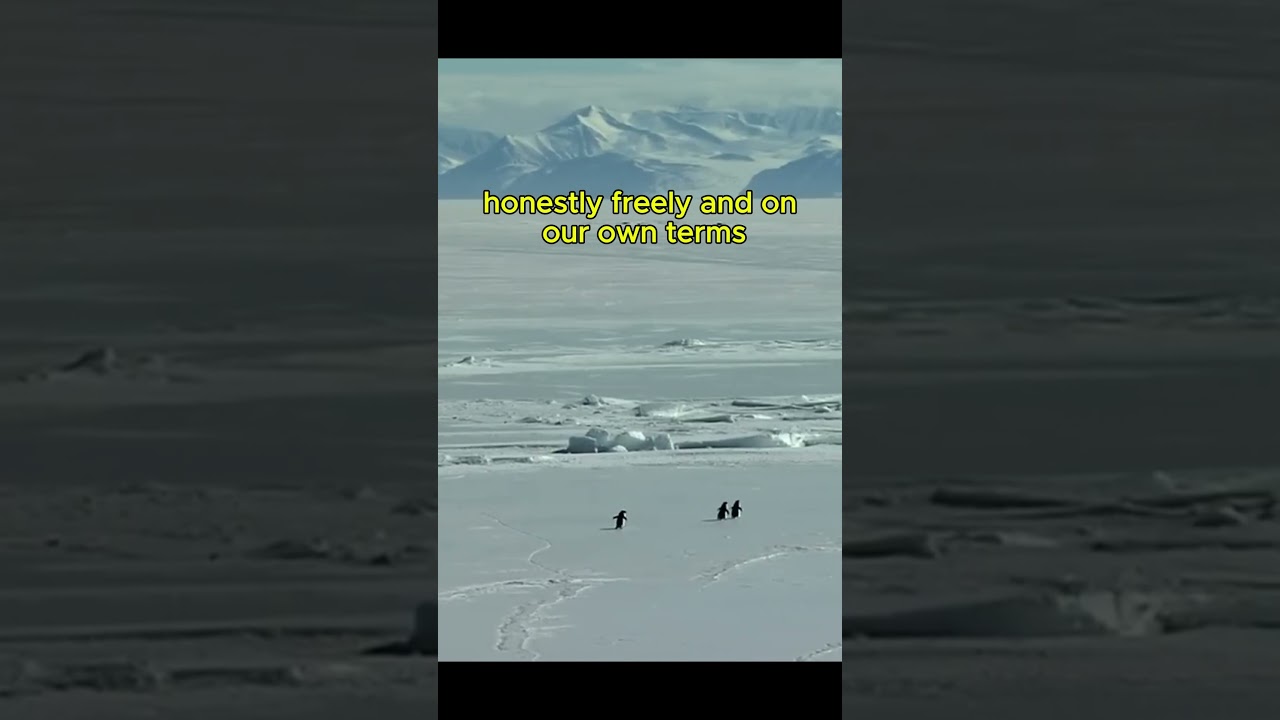 Nilhist Penguin explained? 