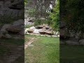 Kimeros park holiday village