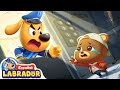 🔍Sheriff Labrador - NO Juegues en el Elevator  | EP 38 | Videos de Niños | BabyBus en Español