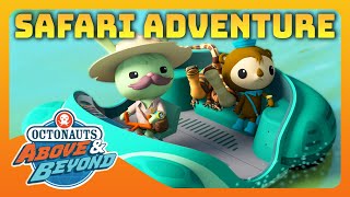 Octonauts: Above \& Beyond - 🦁 Safari Adventure! 🛻  | Compilation | @Octonauts​
