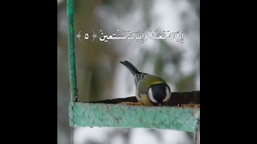 سورة الفاتحة كاملة /القارئ هزاع البلوشي