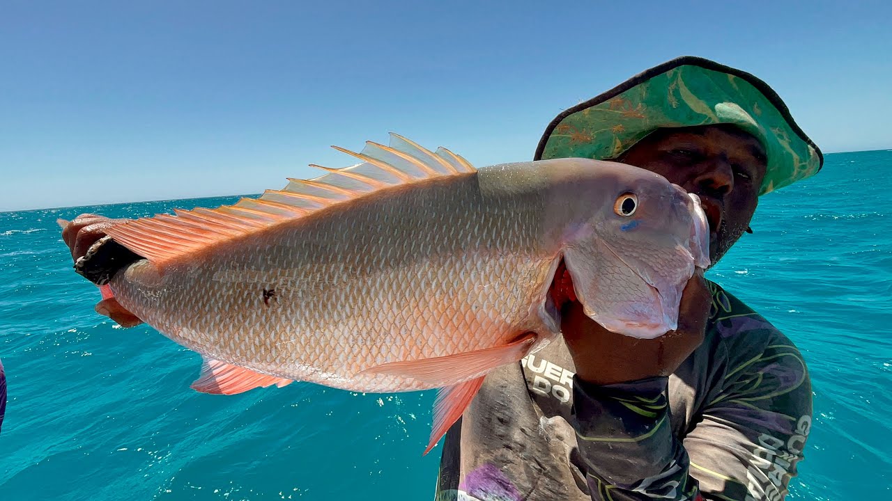 (Guerreiros Do Mar) FINALMENTE ENCONTRAMOS O PONTO EXATO DOS VERMELHÃO, CADA UMA MAIOR QUE A OUTRA !