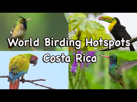Best Nature Reserves In Costa Rica