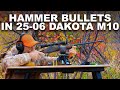 Hammer bullet handloads in 2506 dakota single shot test firing