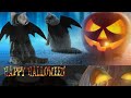 Bat-tastic Pet Costume for Halloween! 🦇🎃
