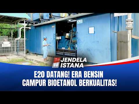 Bensin Campur Bioetanol E20 Segera Berlaku, Petani Bisa Untung?