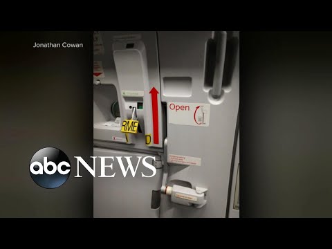 Passenger tries to open plane door mid-flight: Witnesses | WNT