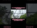 待ち時間0分?!意外に楽しめる雨の日USJ!