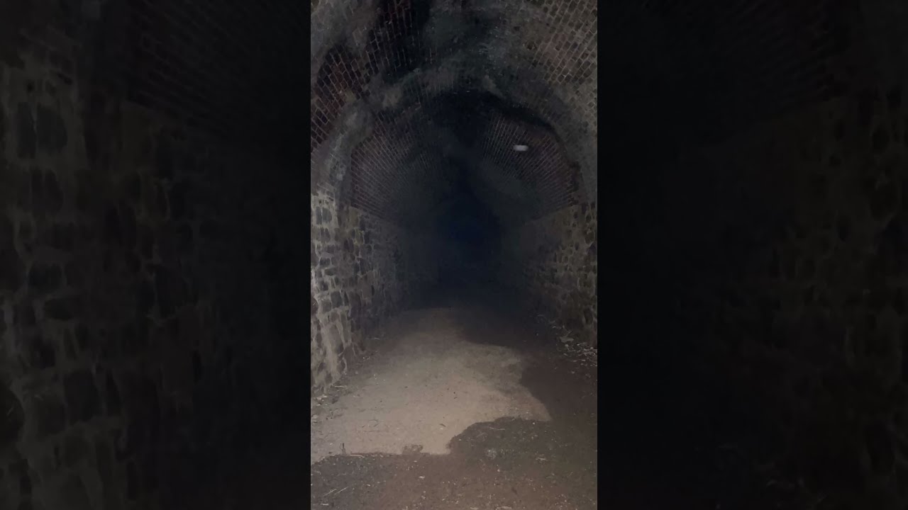 Did We Just Capture A Photo Of Ghost Shorts