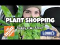 Lowe's &amp; Home Depot Plant Shopping!! finally buying Ferns for the geckos 🦎 Torrington CT🌿✨️🩷