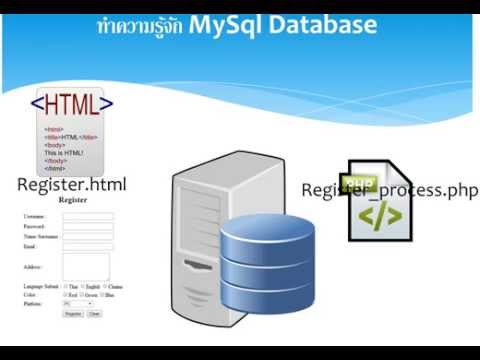 เรียนรู้การเขียนโปรแกรมด้วยภาษา PHP ตอนที่ 29 ทำความรู้จัก mysql database server