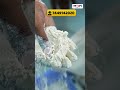 💸 செலவு மிச்சம்... லாபம் அதிகம்! - MDM Nice10 pulverizer #shorts #reels #pulverizer